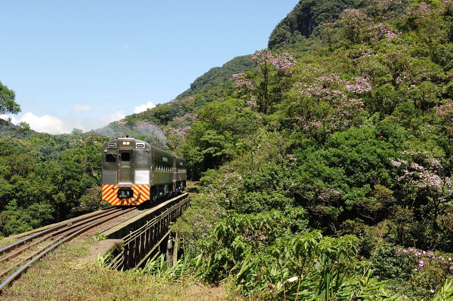 Trem Corporativo